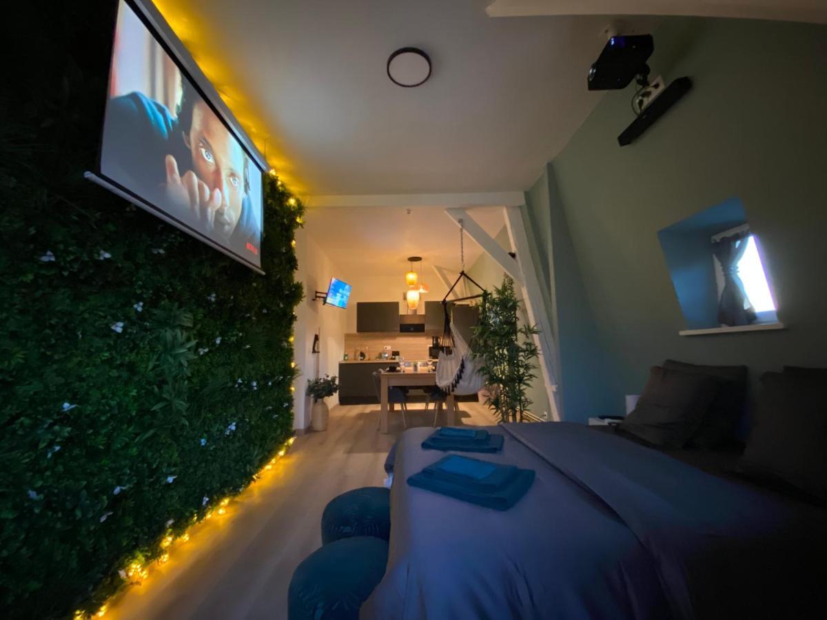 Capsule Roubaix/lille Balneo*home Cinema*billard *