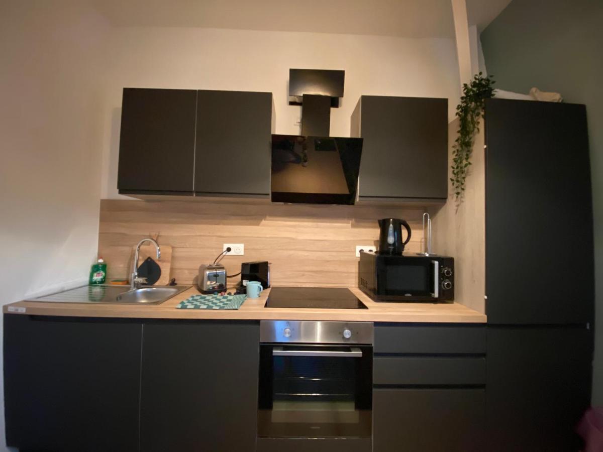 Capsule Roubaix/lille Balneo*home Cinema*billard Apartment Roubaix